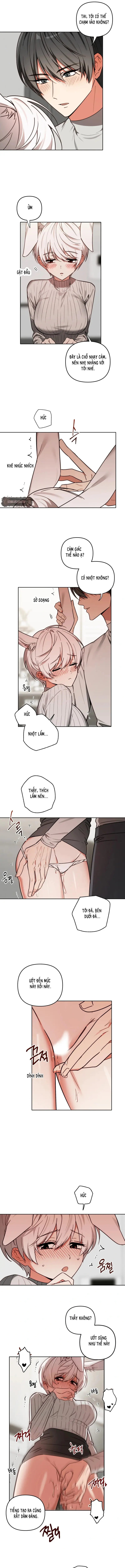 Thỏ Vũ Trụ Chapter 3 - Trang 3