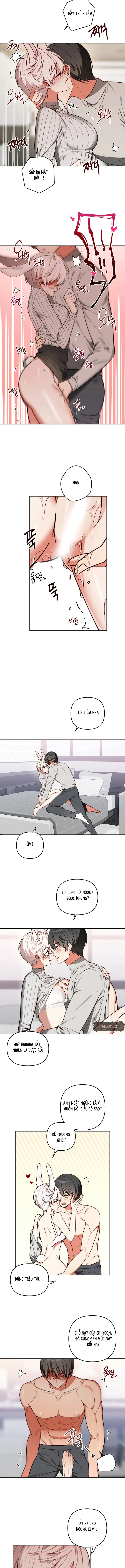 Thỏ Vũ Trụ Chapter 3 - Trang 4