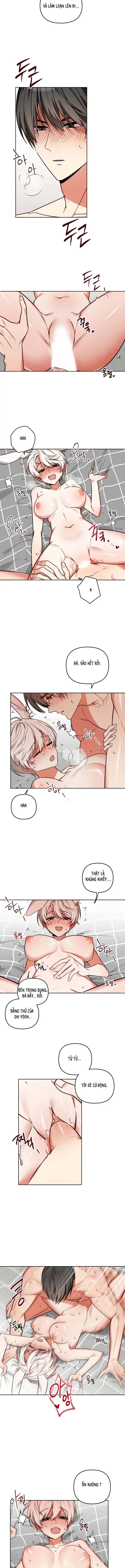 Thỏ Vũ Trụ Chapter 3 - Trang 6