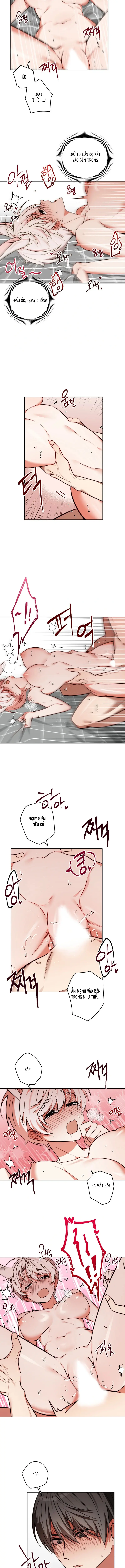 Thỏ Vũ Trụ Chapter 3 - Trang 7