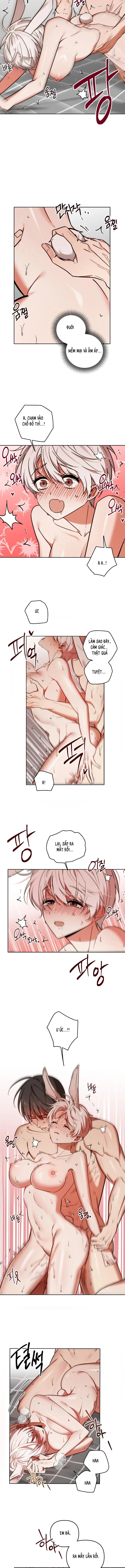 Thỏ Vũ Trụ Chapter 3 - Trang 9