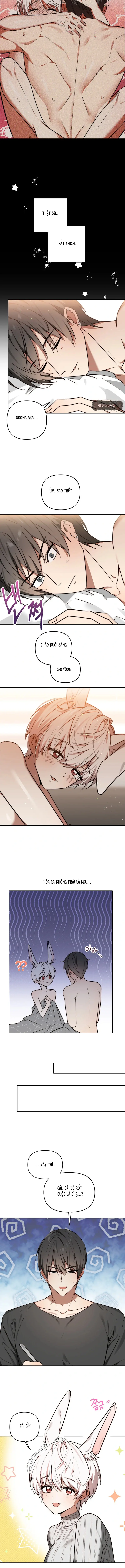 Thỏ Vũ Trụ Chapter 4 - Trang 3