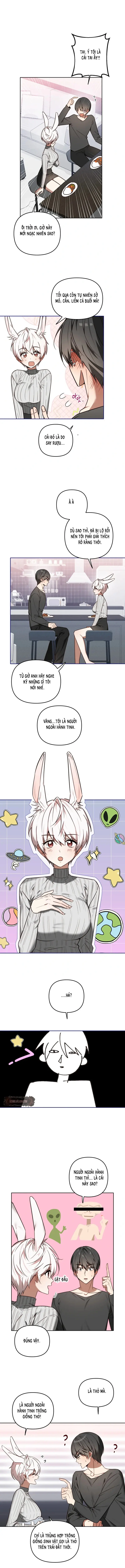 Thỏ Vũ Trụ Chapter 4 - Trang 4