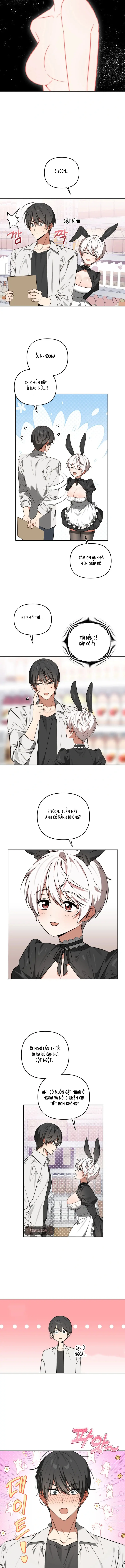 Thỏ Vũ Trụ Chapter 5 - Trang 8