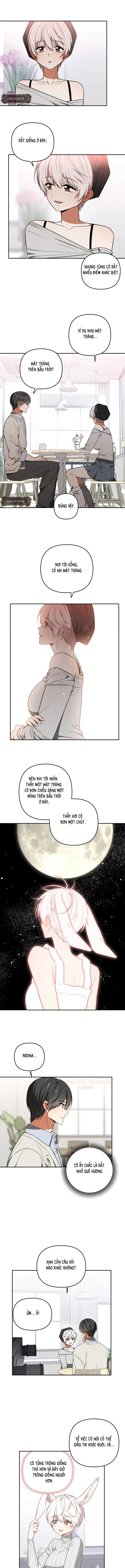 Thỏ Vũ Trụ Chapter 6 - Trang 6