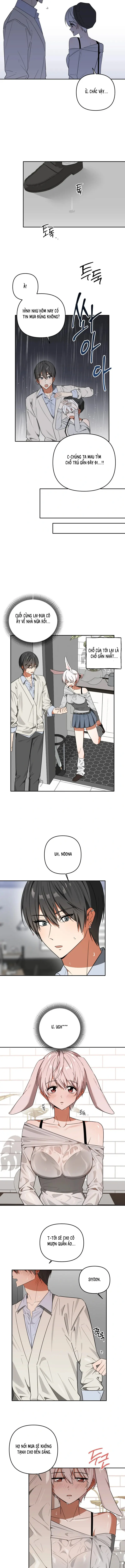 Thỏ Vũ Trụ Chapter 6 - Trang 9