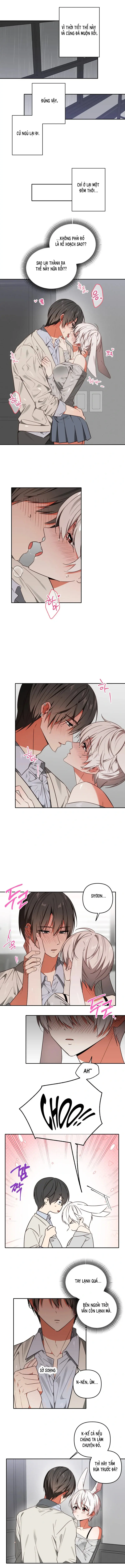 Thỏ Vũ Trụ Chapter 7 - Trang 2