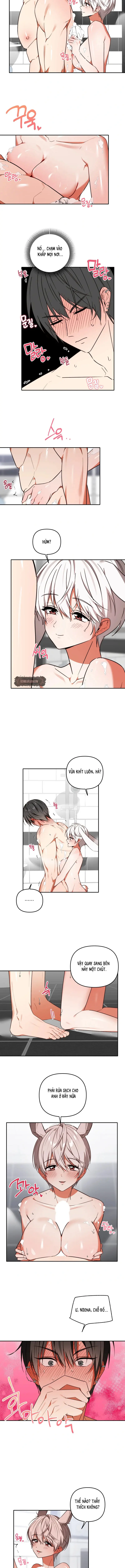 Thỏ Vũ Trụ Chapter 7 - Trang 4