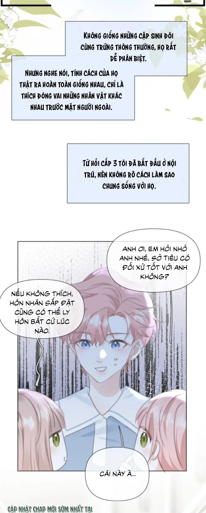 Thỏa Thuận Trước Khi Ngủ Chapter 17 - Trang 14