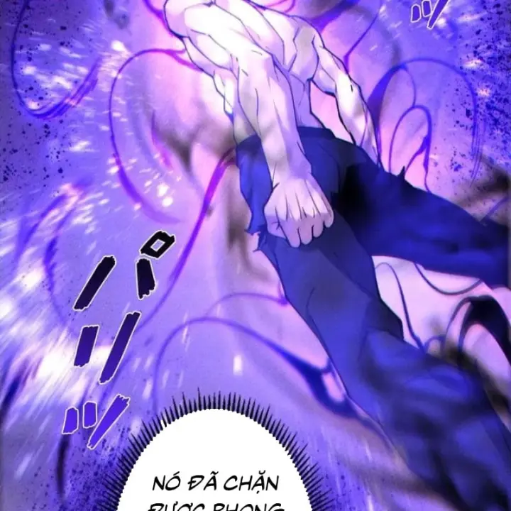 Thống Trị Tuyệt Đối Ngay Từ Level 0 Với Kỹ Năng Phân Tích Chapter 50 - Trang 44