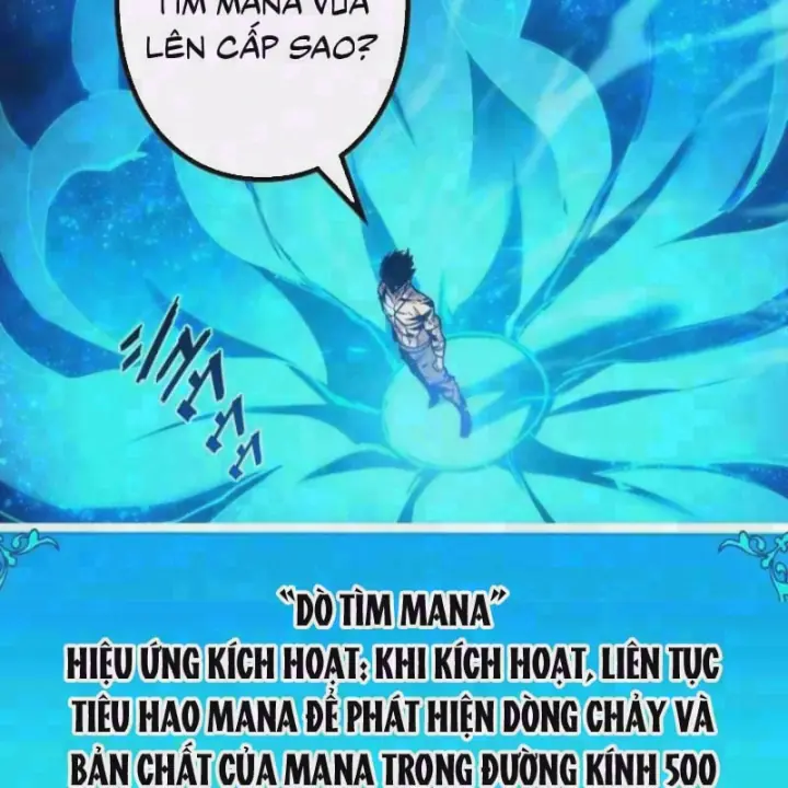 Thống Trị Tuyệt Đối Ngay Từ Level 0 Với Kỹ Năng Phân Tích Chapter 50 - Trang 6