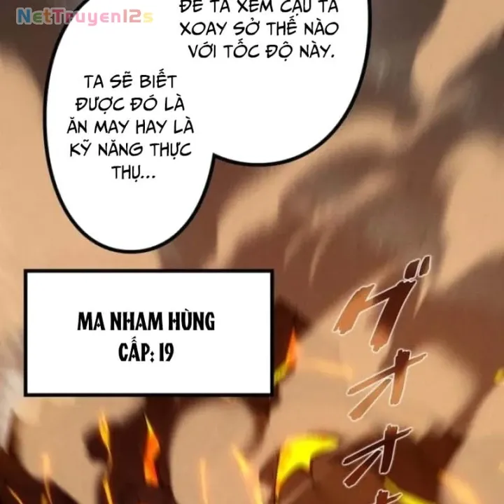 Thống Trị Tuyệt Đối Ngay Từ Level 0 Với Kỹ Năng Phân Tích Chapter 52 - Trang 27