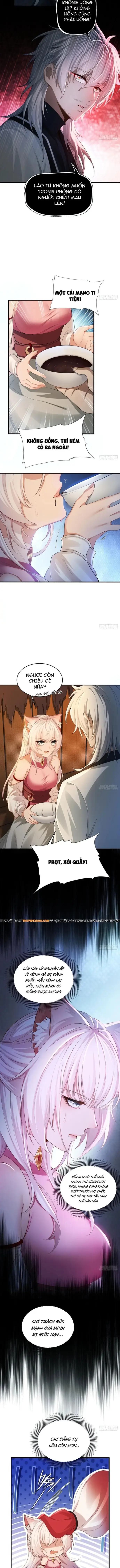 Thu Thập Hậu Cung: Ta Phải Cứu Vớt 7 Ác Nữ Chapter 2 - Trang 5