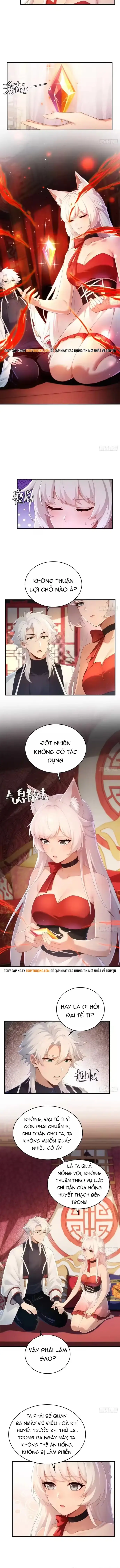 Thu Thập Hậu Cung: Ta Phải Cứu Vớt 7 Ác Nữ Chapter 39 - Trang 5