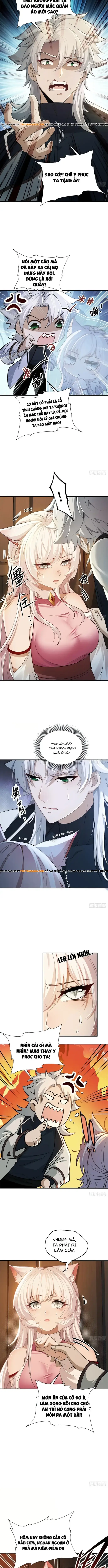 Thu Thập Hậu Cung: Ta Phải Cứu Vớt 7 Ác Nữ Chapter 4 - Trang 4