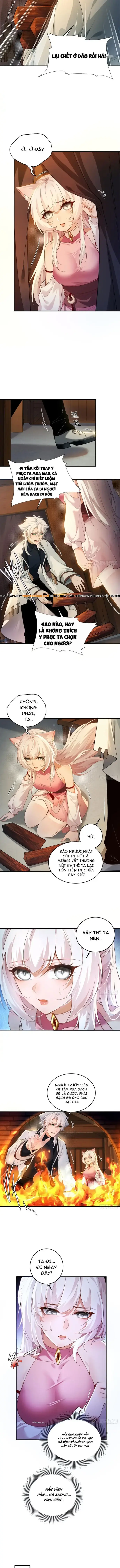 Thu Thập Hậu Cung: Ta Phải Cứu Vớt 7 Ác Nữ Chapter 5 - Trang 3