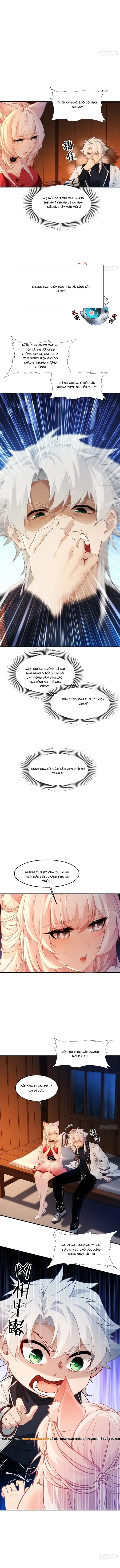 Thu Thập Hậu Cung: Ta Phải Cứu Vớt 7 Ác Nữ Chapter 6 - Trang 3