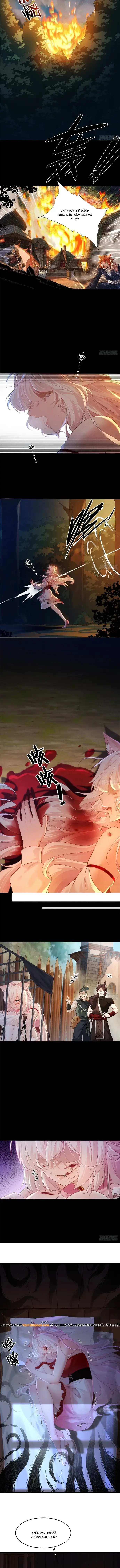 Thu Thập Hậu Cung: Ta Phải Cứu Vớt 7 Ác Nữ Chapter 6 - Trang 5
