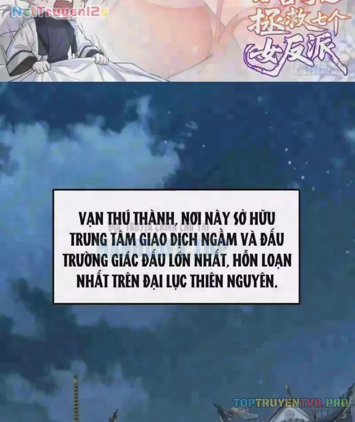 Thu Thập Hậu Cung: Ta Phải Cứu Vớt 7 Ác Nữ Chapter 65 - Trang 4