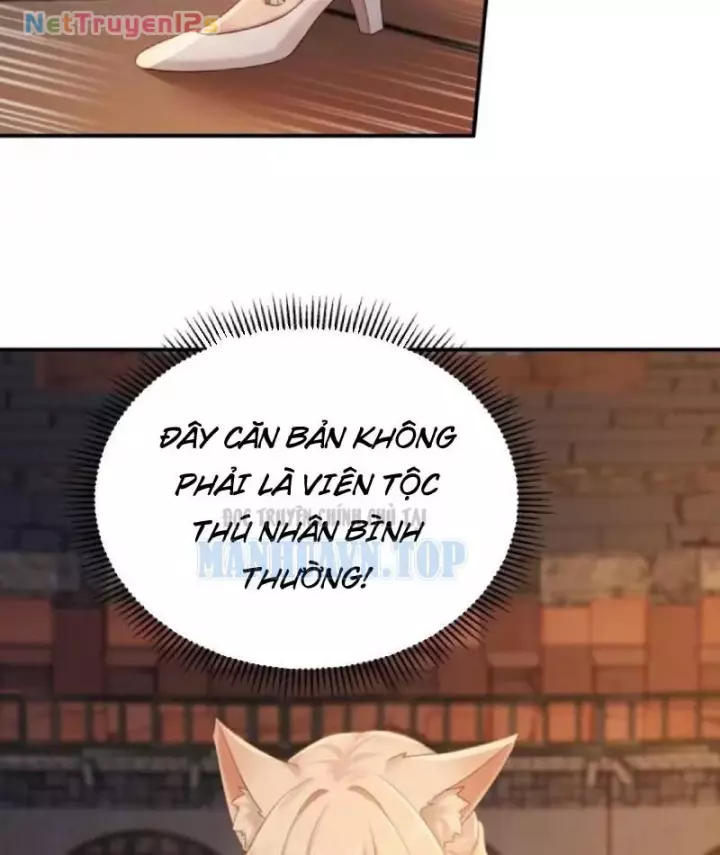 Thu Thập Hậu Cung: Ta Phải Cứu Vớt 7 Ác Nữ Chapter 67 - Trang 9