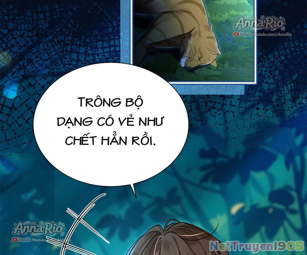 THÚ THẾ CHỦNG ĐIỀN: THÚ CON PHẢN DIỆN SIÊU BÁM NGƯỜI Chapter 5 - Trang 15