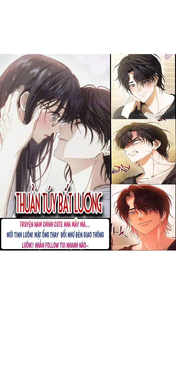 Thuần túy bất lương Chapter 1 - Trang 15