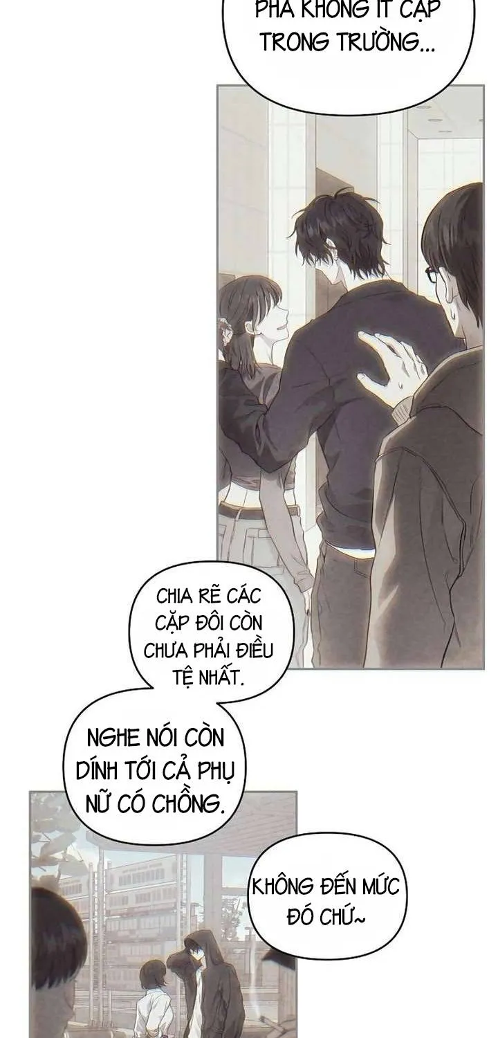 Thuần túy bất lương Chapter 1 - Trang 19