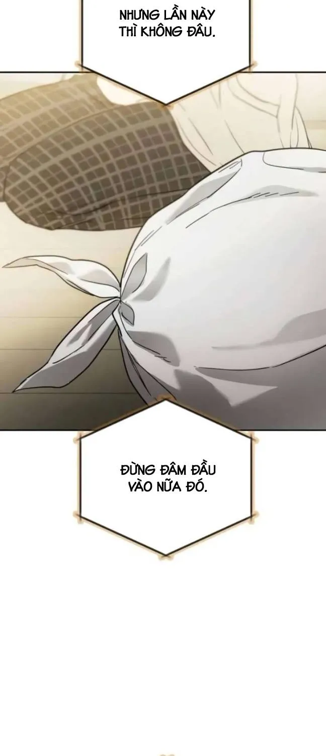 Thuần túy bất lương Chapter 11 - Trang 15