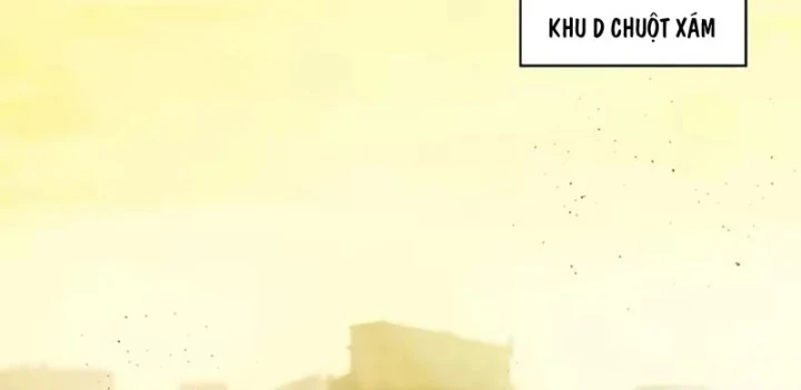 Thương Nhân Buôn Lậu Thời Mạt Thế: Ta Dùng Que Cay Đổi Vàng Thỏi Chapter 22 - Trang 3
