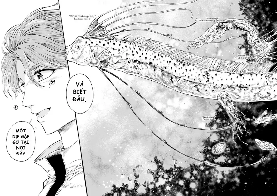 Thủy Cung Đáy Biển Magmell Chapter 0 - Trang 15