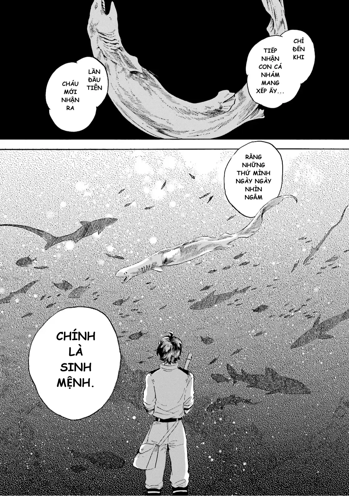 Thủy Cung Đáy Biển Magmell Chapter 2 - Trang 46