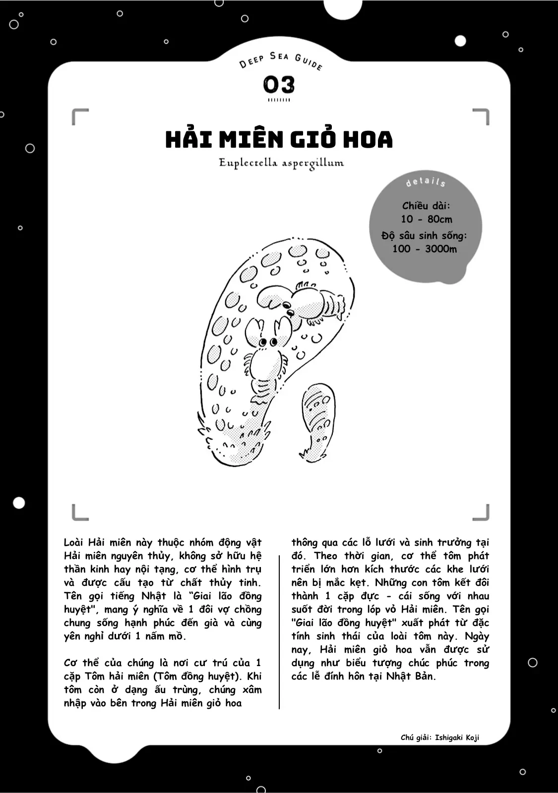 Thủy Cung Đáy Biển Magmell Chapter 3 - Trang 23