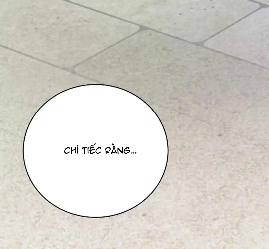 Thủy Triều Vinh Quang Chapter 54 - Trang 37