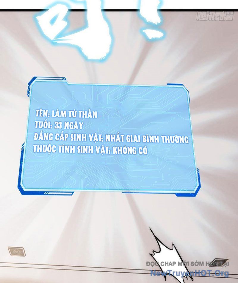Tiến Hóa Vô Hạn Bắt Đầu Từ Con Số Không Chapter 1 - Trang 12