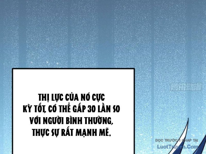 Tiến Hóa Vô Hạn Bắt Đầu Từ Con Số Không Chapter 12 - Trang 5