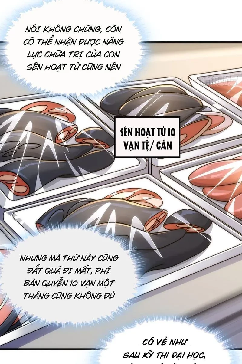 Tiến Hóa Vô Hạn Bắt Đầu Từ Con Số Không Chapter 27 - Trang 23