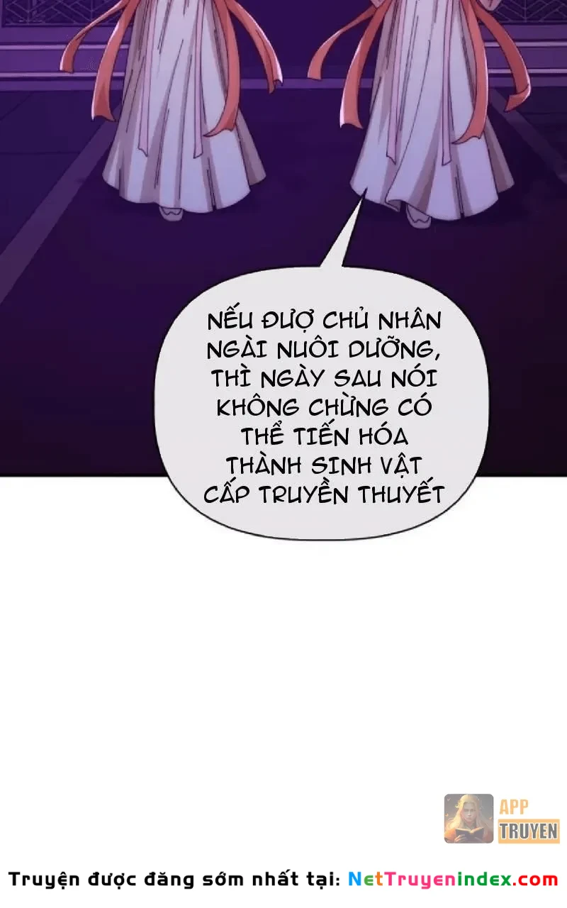 Tiến Hóa Vô Hạn Bắt Đầu Từ Con Số Không Chapter 73 - Trang 43