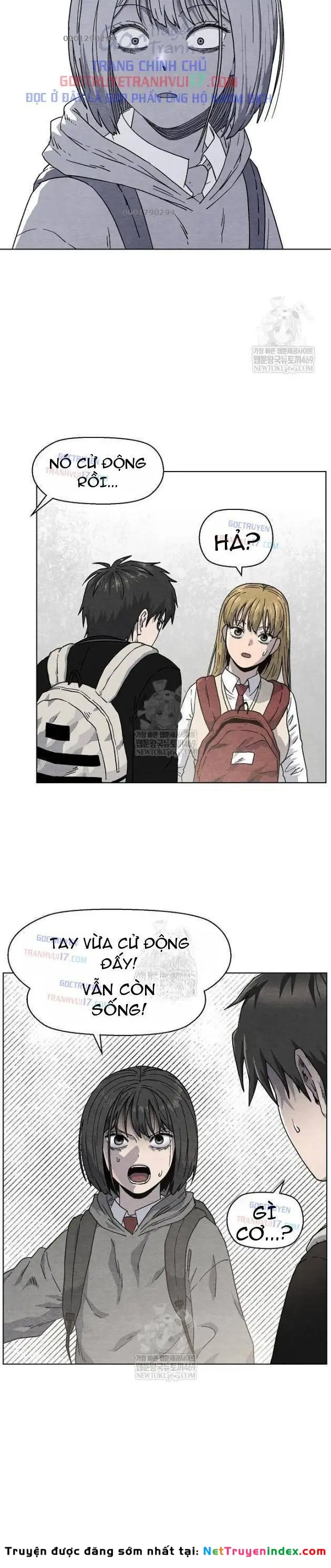 Tiếng Gầm Gừ Chapter 13 - Trang 12