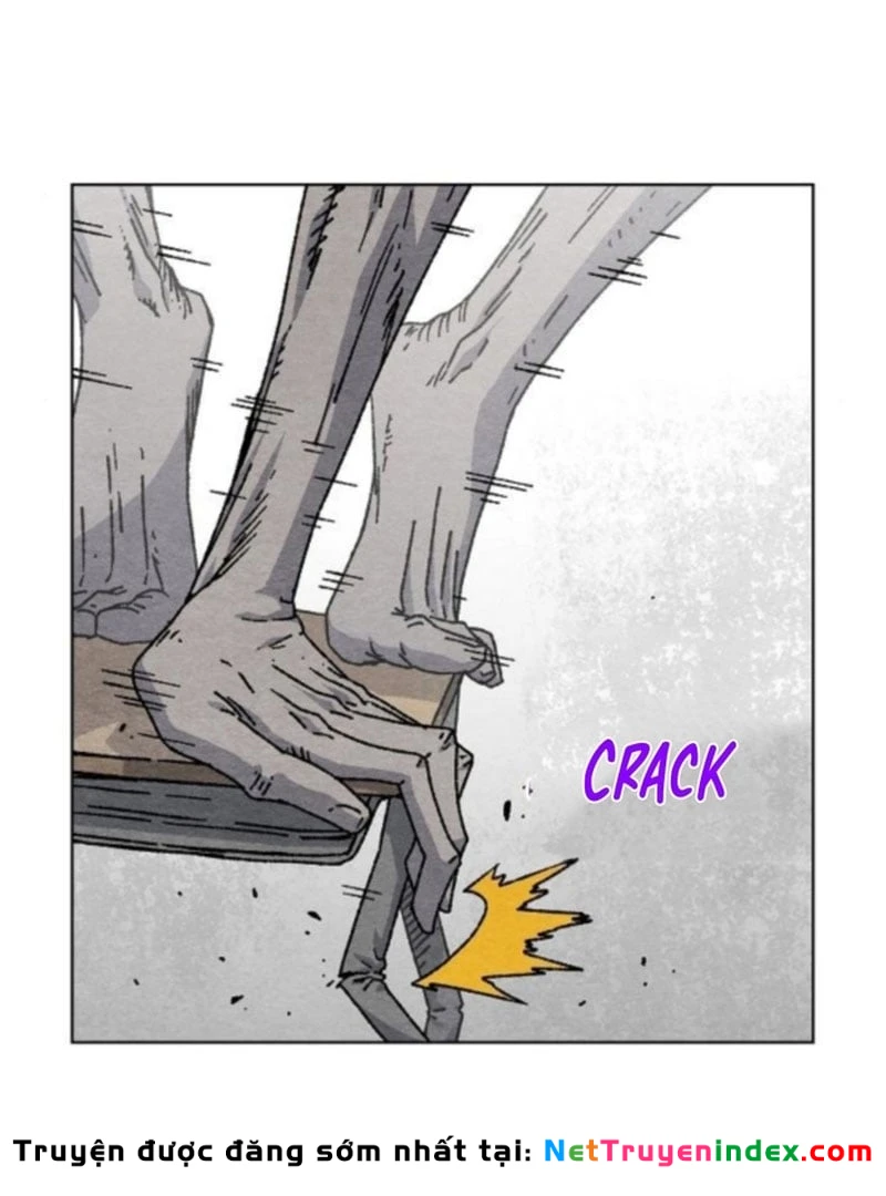 Tiếng Gầm Gừ Chapter 2 - Trang 11