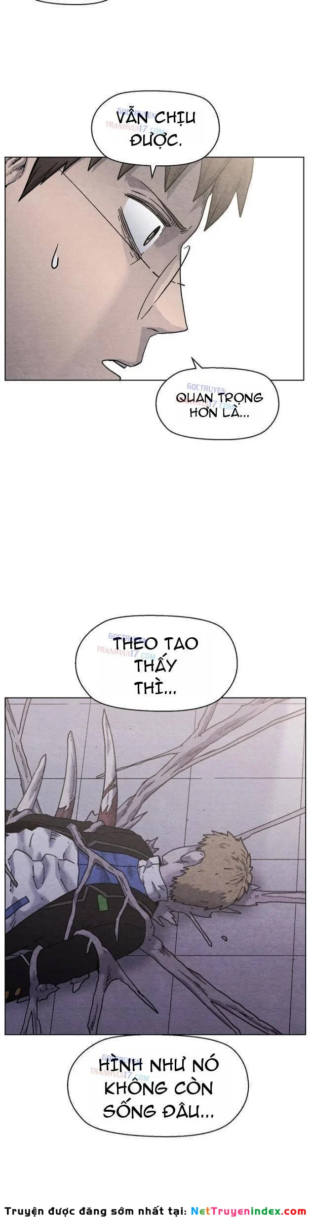Tiếng Gầm Gừ Chapter 7 - Trang 36