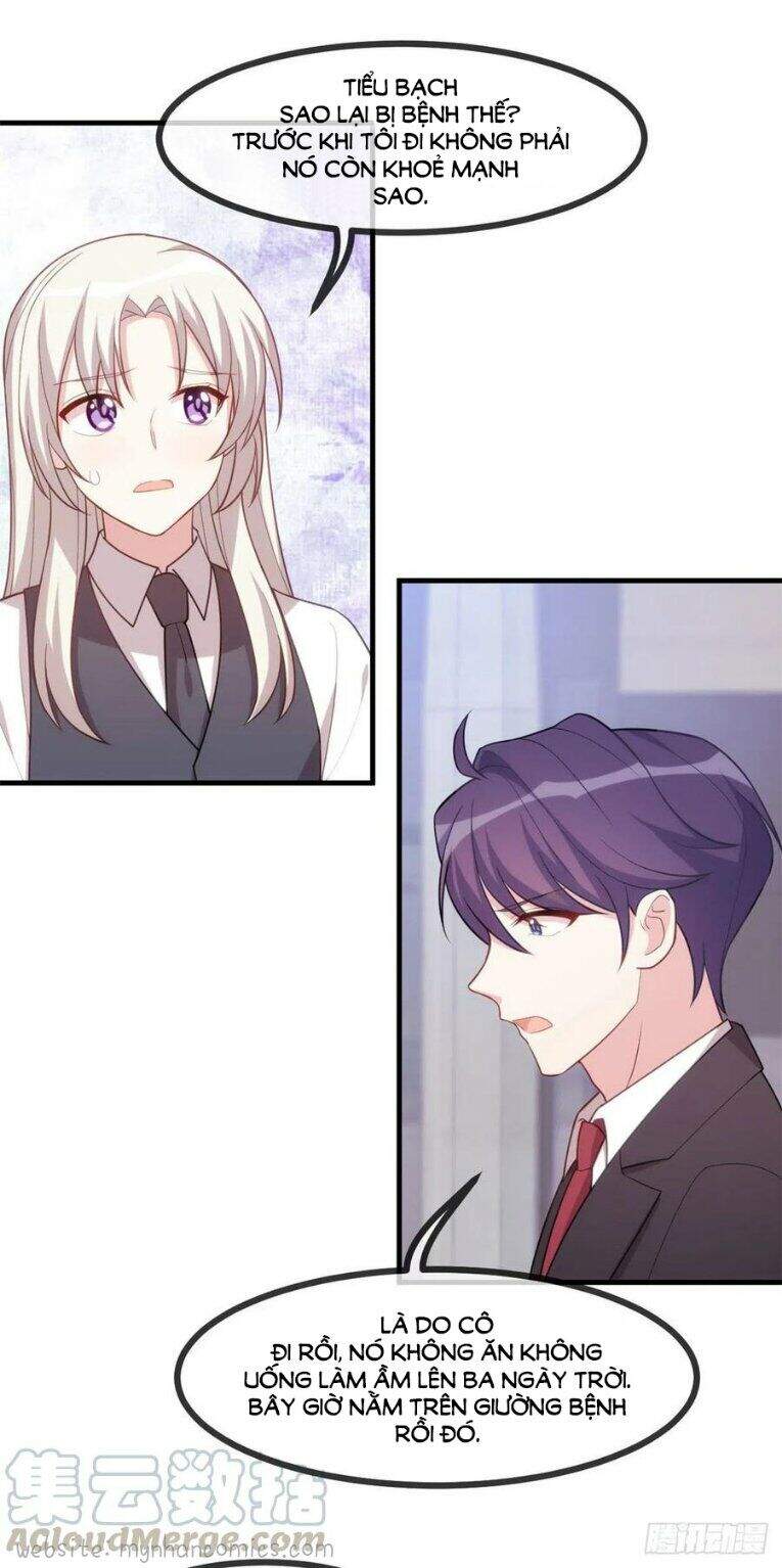 Tiểu Bạch Nam Thần Daddy Chapter 102 - Trang 6