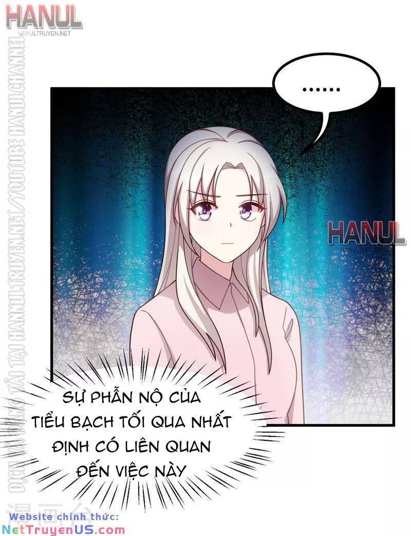 Tiểu Bạch Nam Thần Daddy Chapter 184 - Trang 4