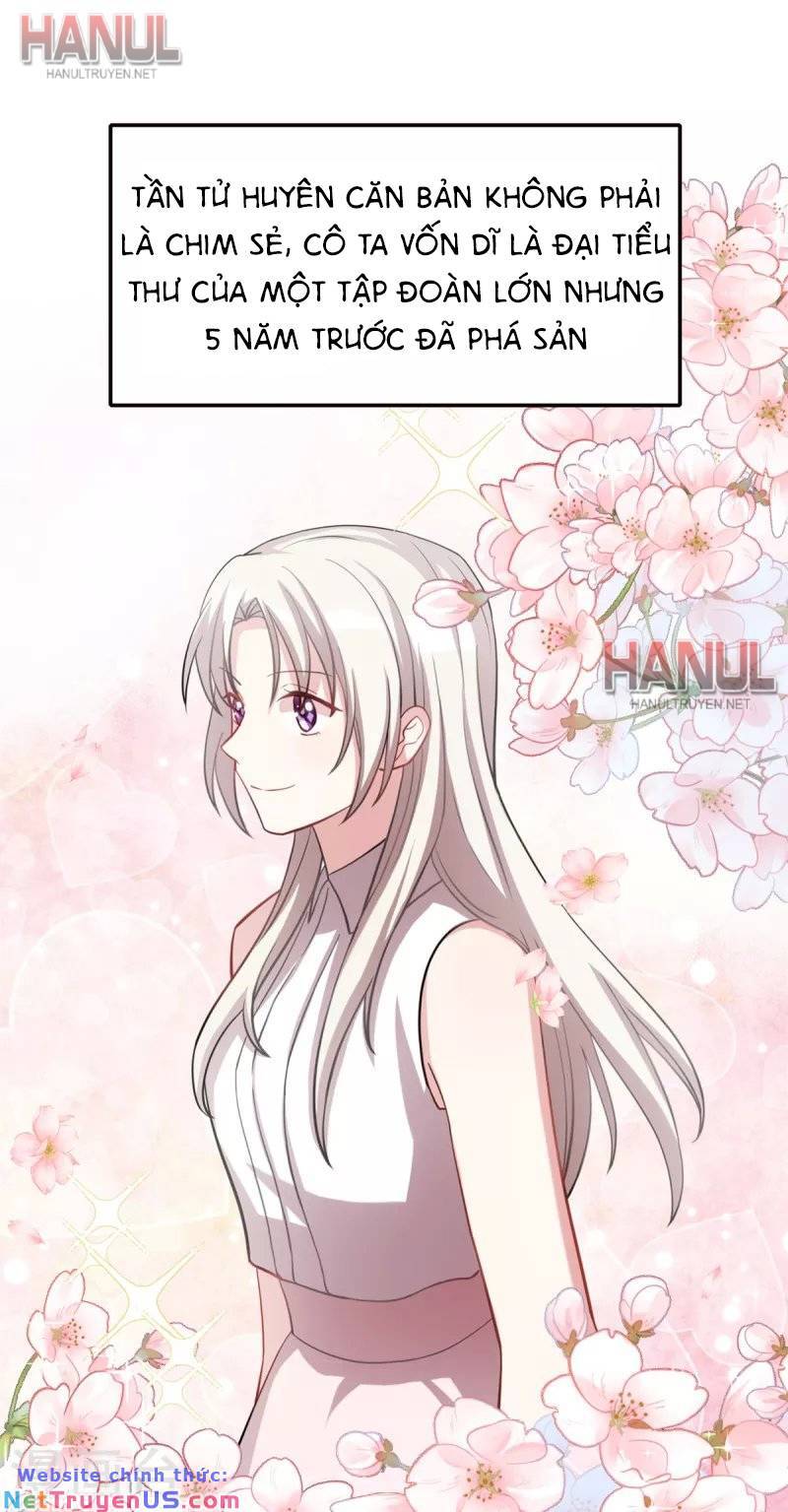 Tiểu Bạch Nam Thần Daddy Chapter 206 - Trang 12