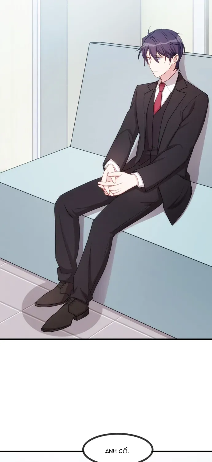 Tiểu Bạch Nam Thần Daddy Chapter 50 - Trang 5