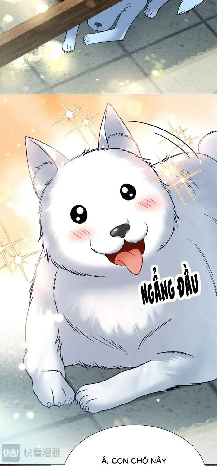 Tiểu Gia Chủ Tám Tuổi Gánh Cả Gia Tộc Chapter 15 - Trang 7