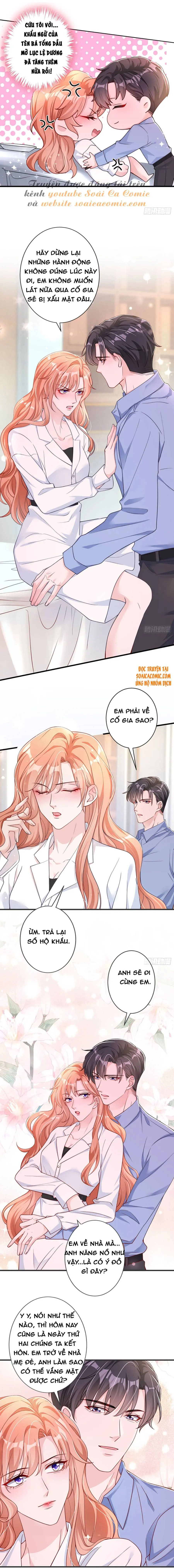 Tiểu Kiều Thê Thuần Phục Dã Thú Tổng Tài Chapter 24 - Trang 7