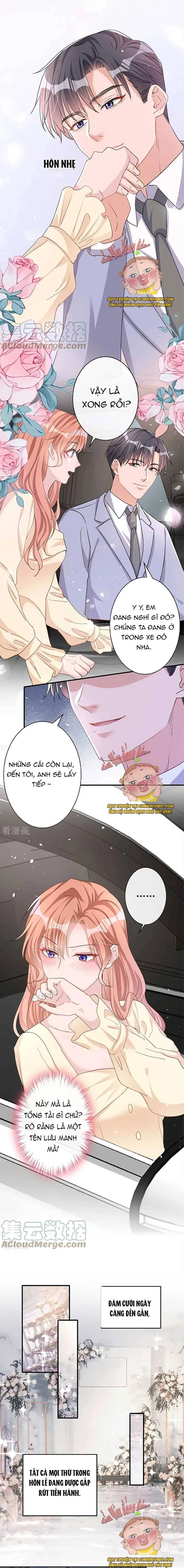 Tiểu Kiều Thê Thuần Phục Dã Thú Tổng Tài Chapter 39 - Trang 5