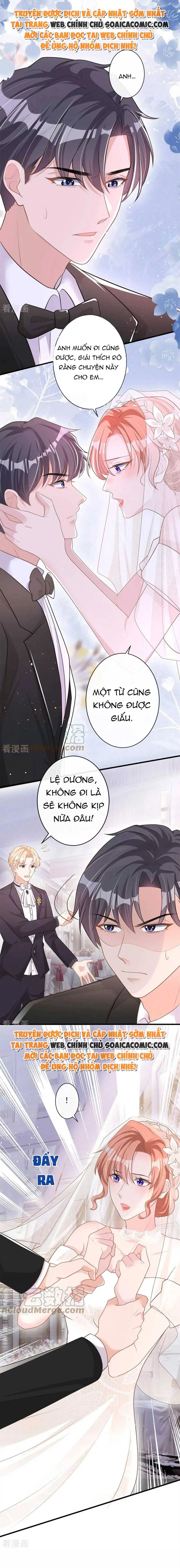 Tiểu Kiều Thê Thuần Phục Dã Thú Tổng Tài Chapter 41 - Trang 7