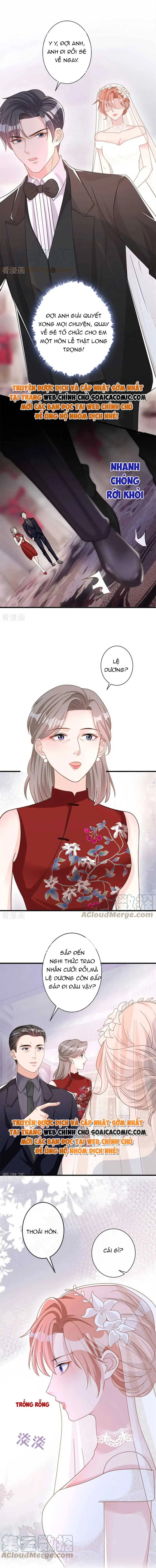 Tiểu Kiều Thê Thuần Phục Dã Thú Tổng Tài Chapter 41 - Trang 8