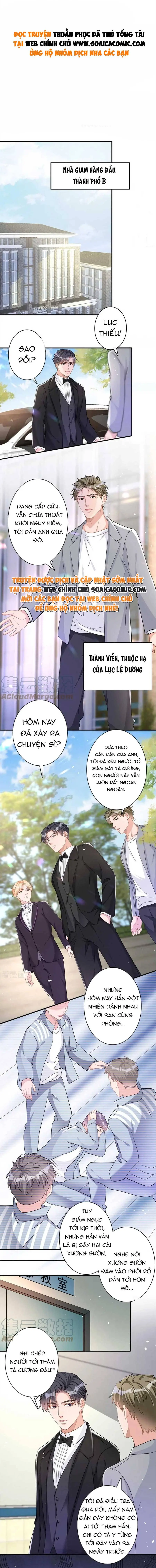 Tiểu Kiều Thê Thuần Phục Dã Thú Tổng Tài Chapter 42 - Trang 2